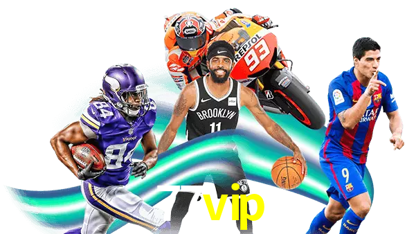 77vip