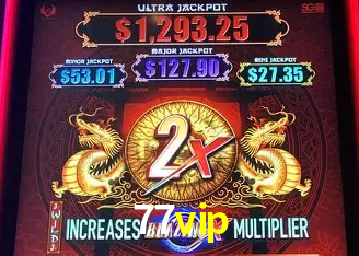 77vip Rio de Janeiro - Professional Dealers